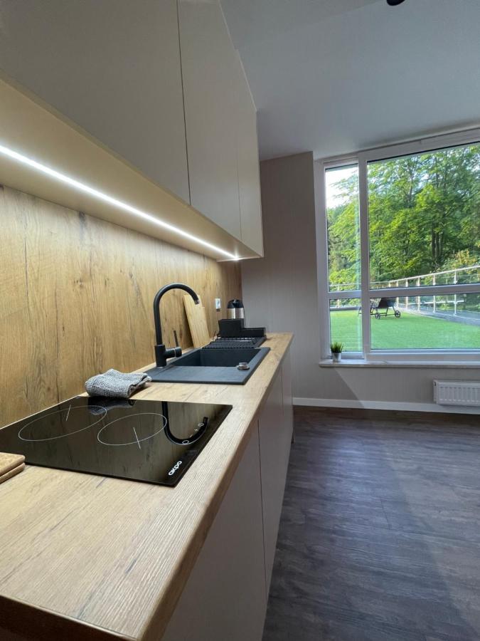 Apartament Kurort Kozubnik - Taras Nad Potokiem Porabka Ngoại thất bức ảnh