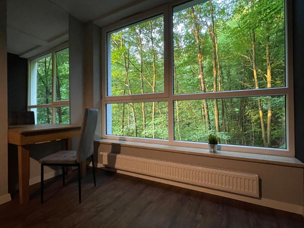 Apartament Kurort Kozubnik - Taras Nad Potokiem Porabka Ngoại thất bức ảnh