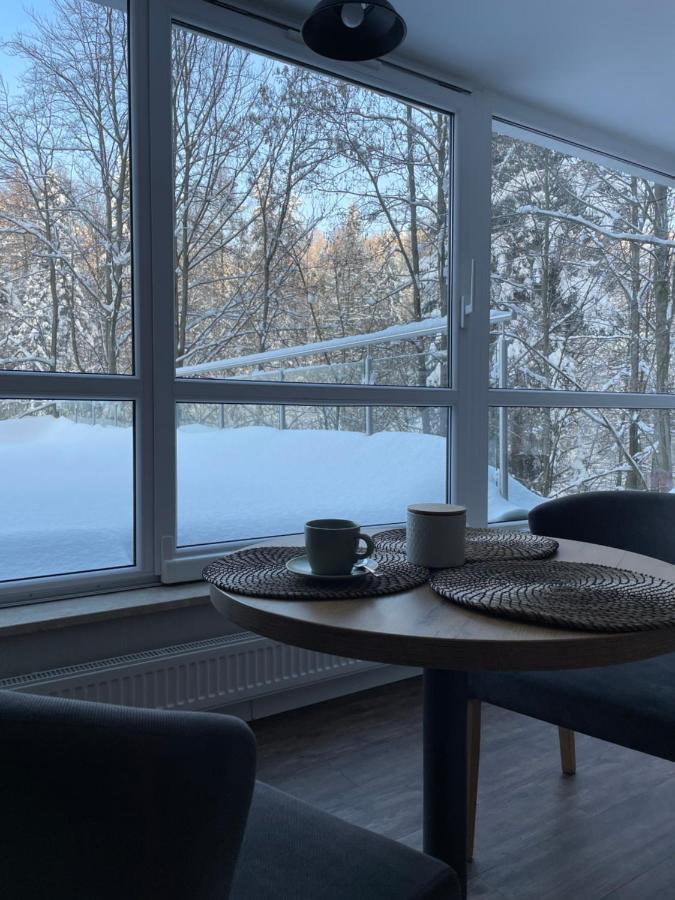 Apartament Kurort Kozubnik - Taras Nad Potokiem Porabka Ngoại thất bức ảnh